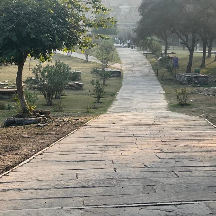 Stone Journey