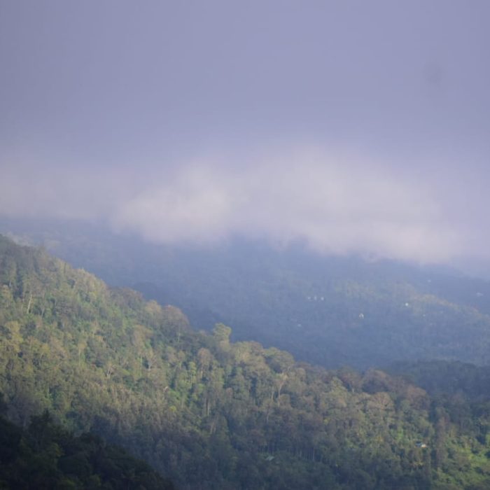 Silent Summits