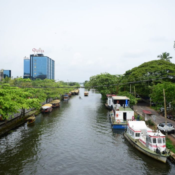 Backwater Bliss